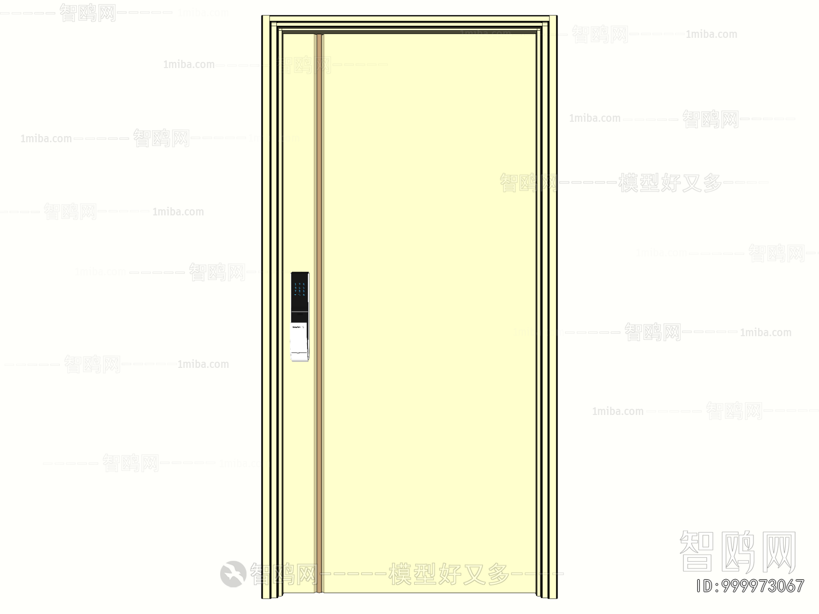 Modern Entrance Door