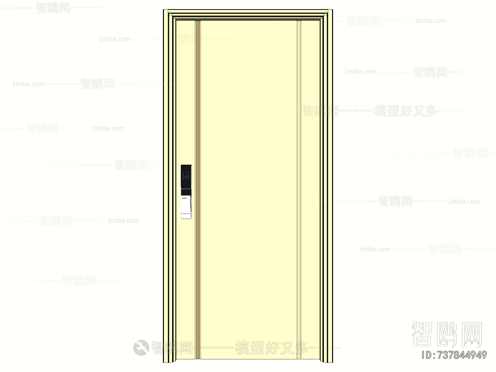 Modern Entrance Door