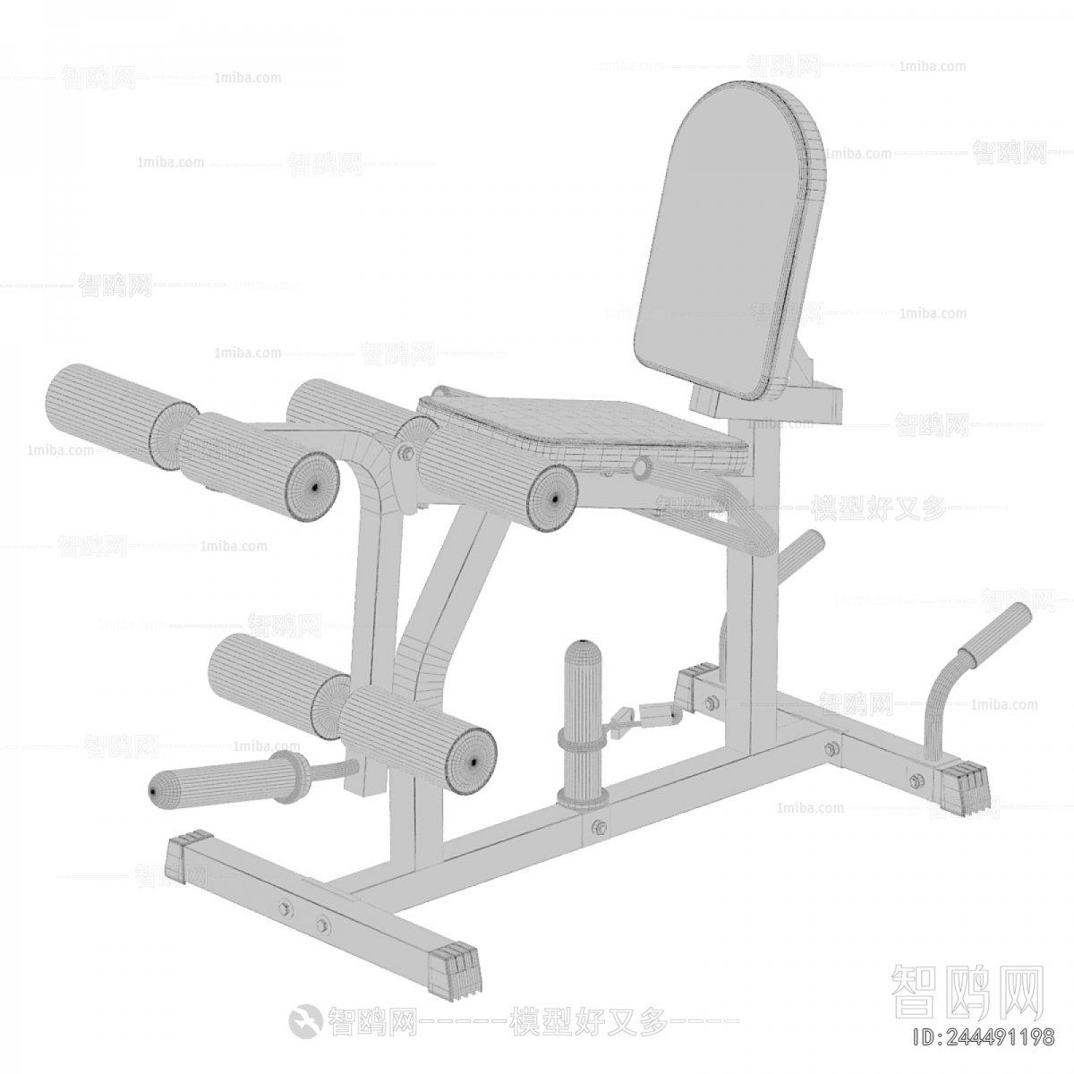Modern Fitness Equipment
