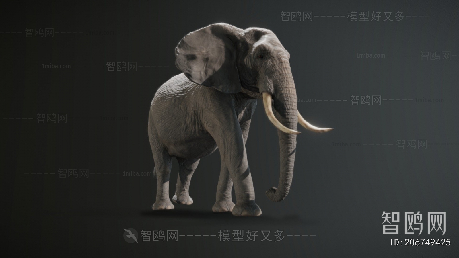 Modern Mammal