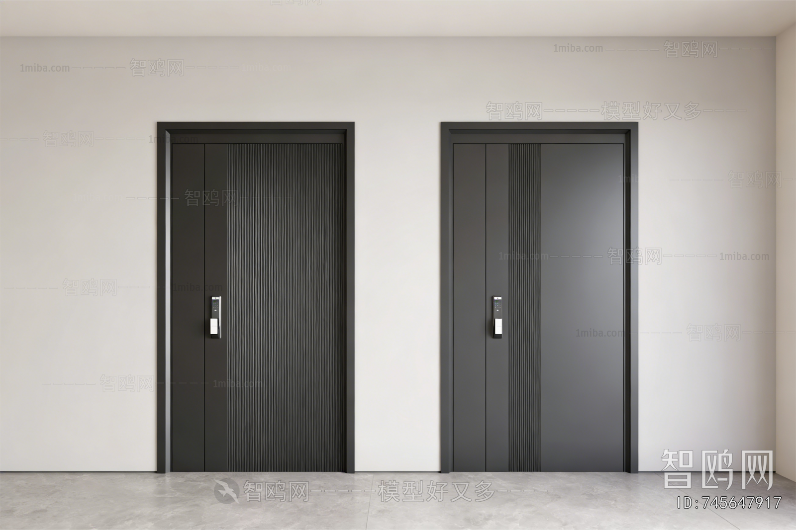 Modern Entrance Door