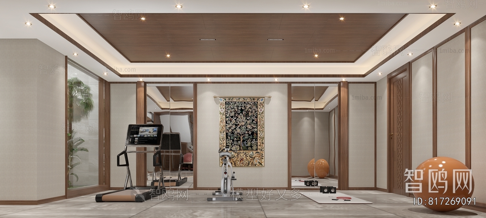 Modern Home Fitness Room