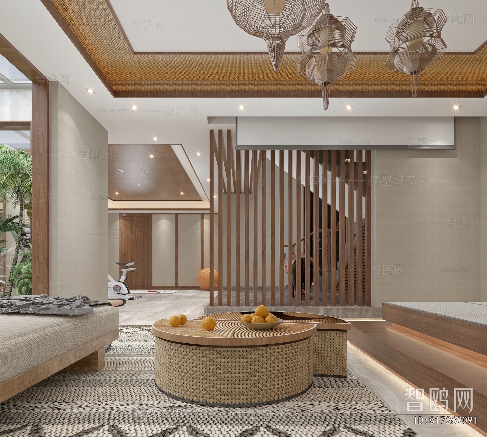 Modern Home Fitness Room