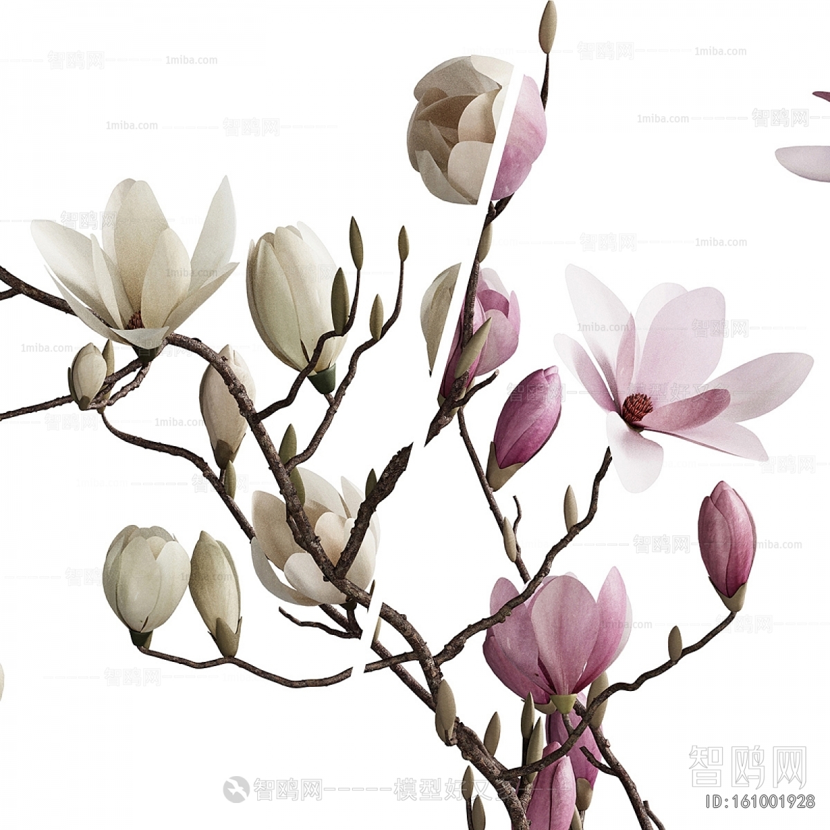 Modern Flower Arrangement