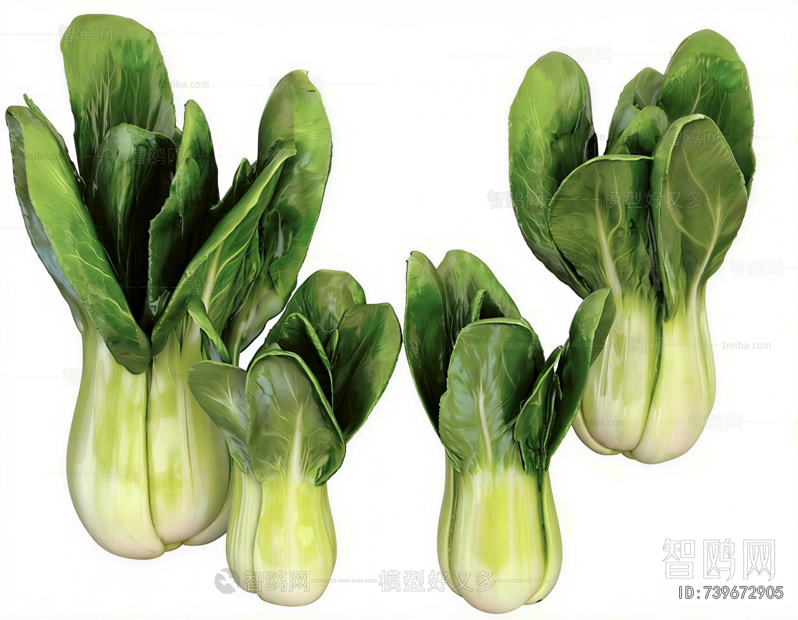 Modern Vegetables