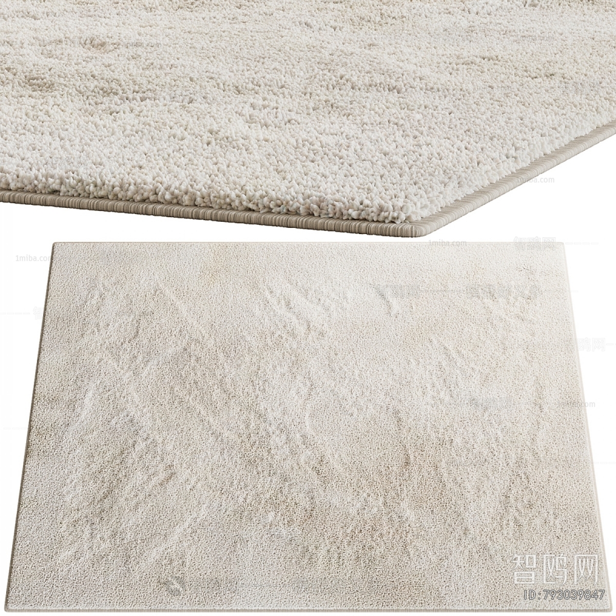 Modern The Carpet