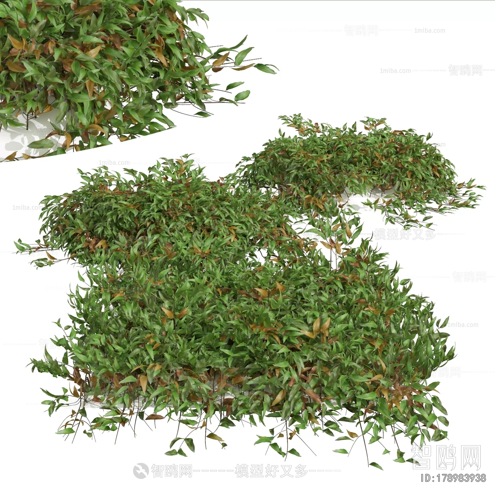 Modern The Grass