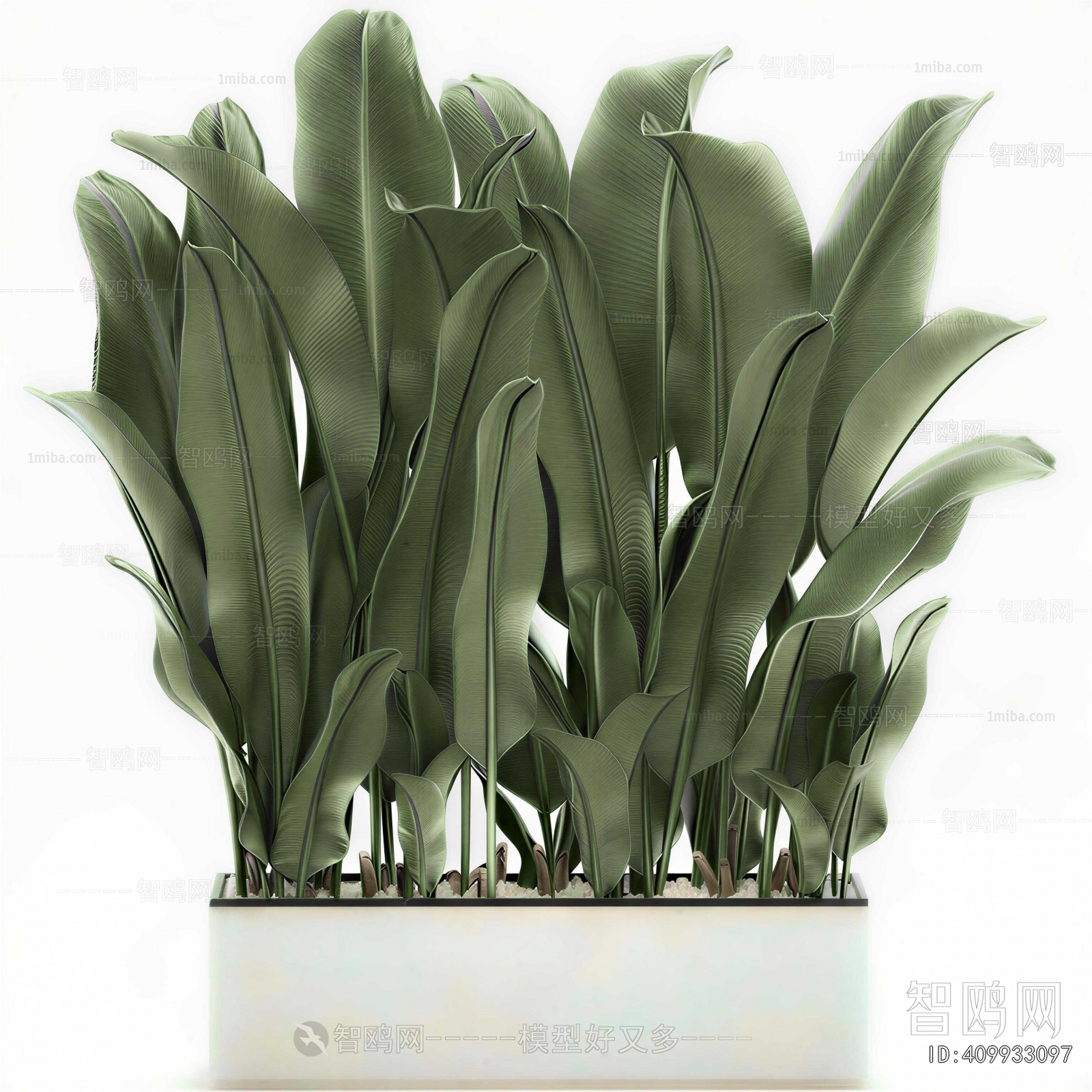 Modern Flower Bed, Flower Bowl, Flower Box