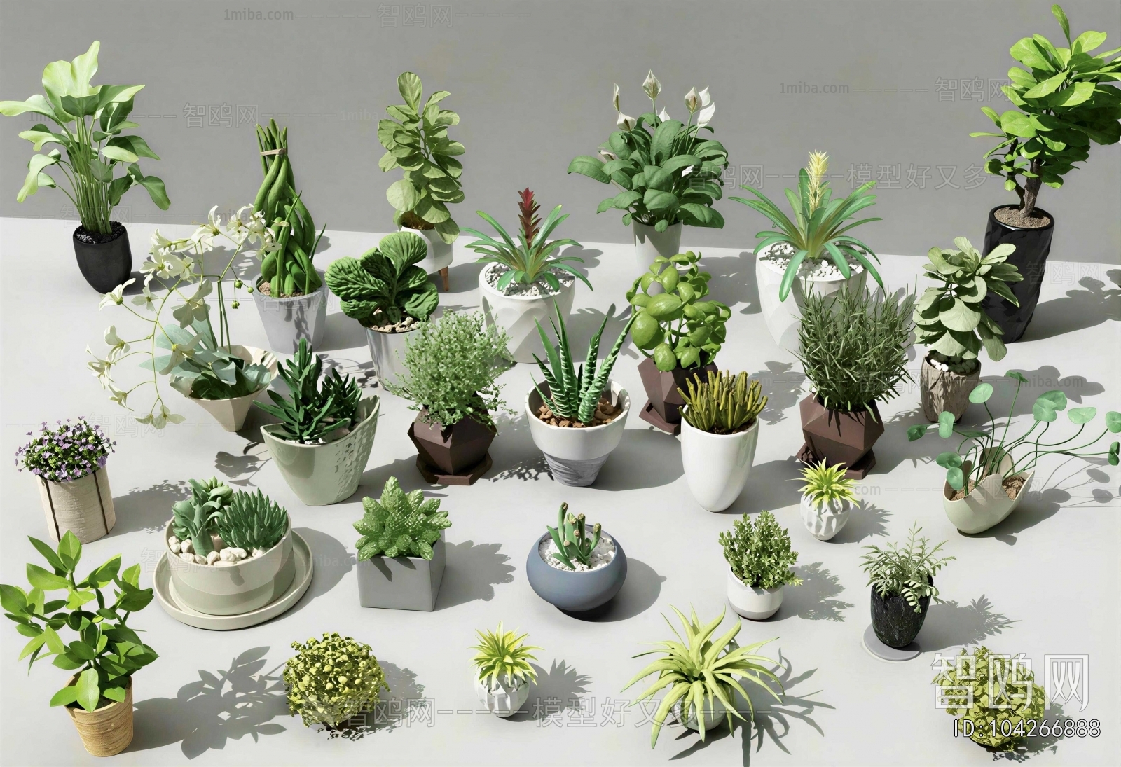 Modern Desktop Plant