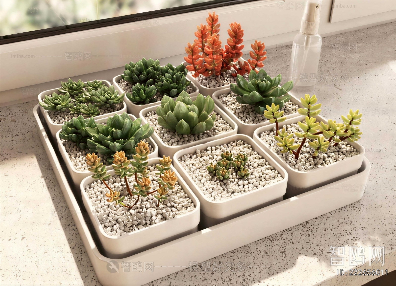 Modern Desktop Plant