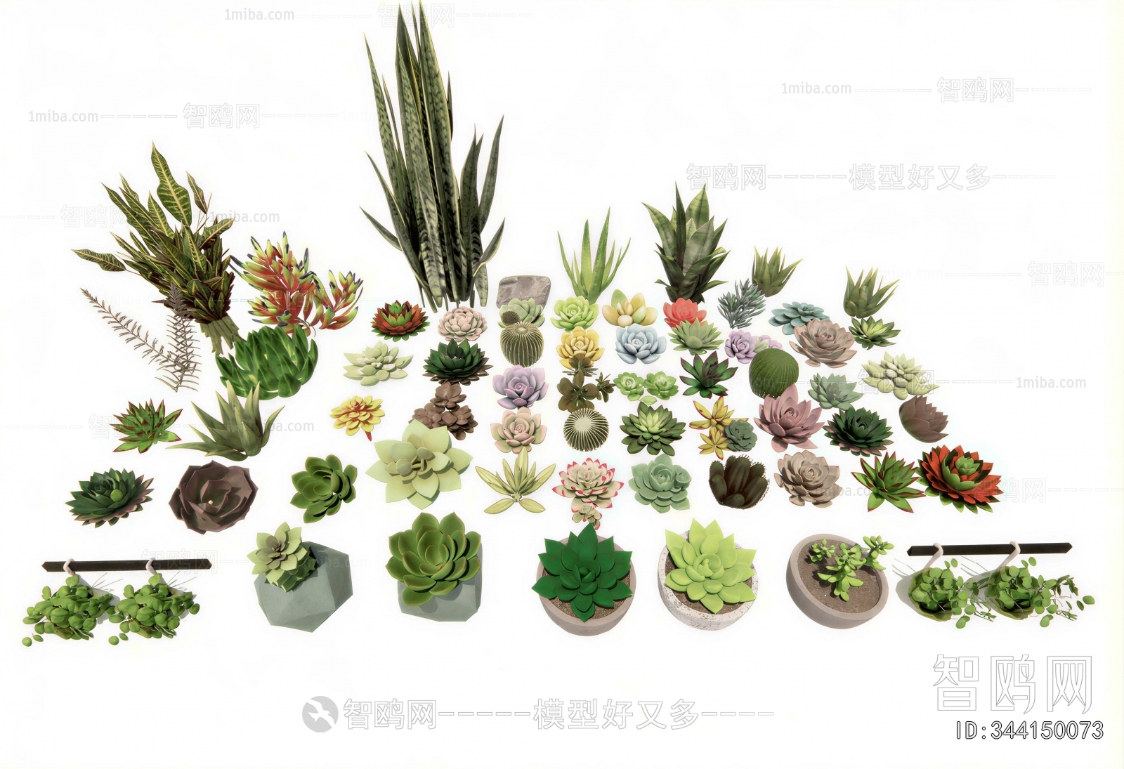 Modern Desktop Plant