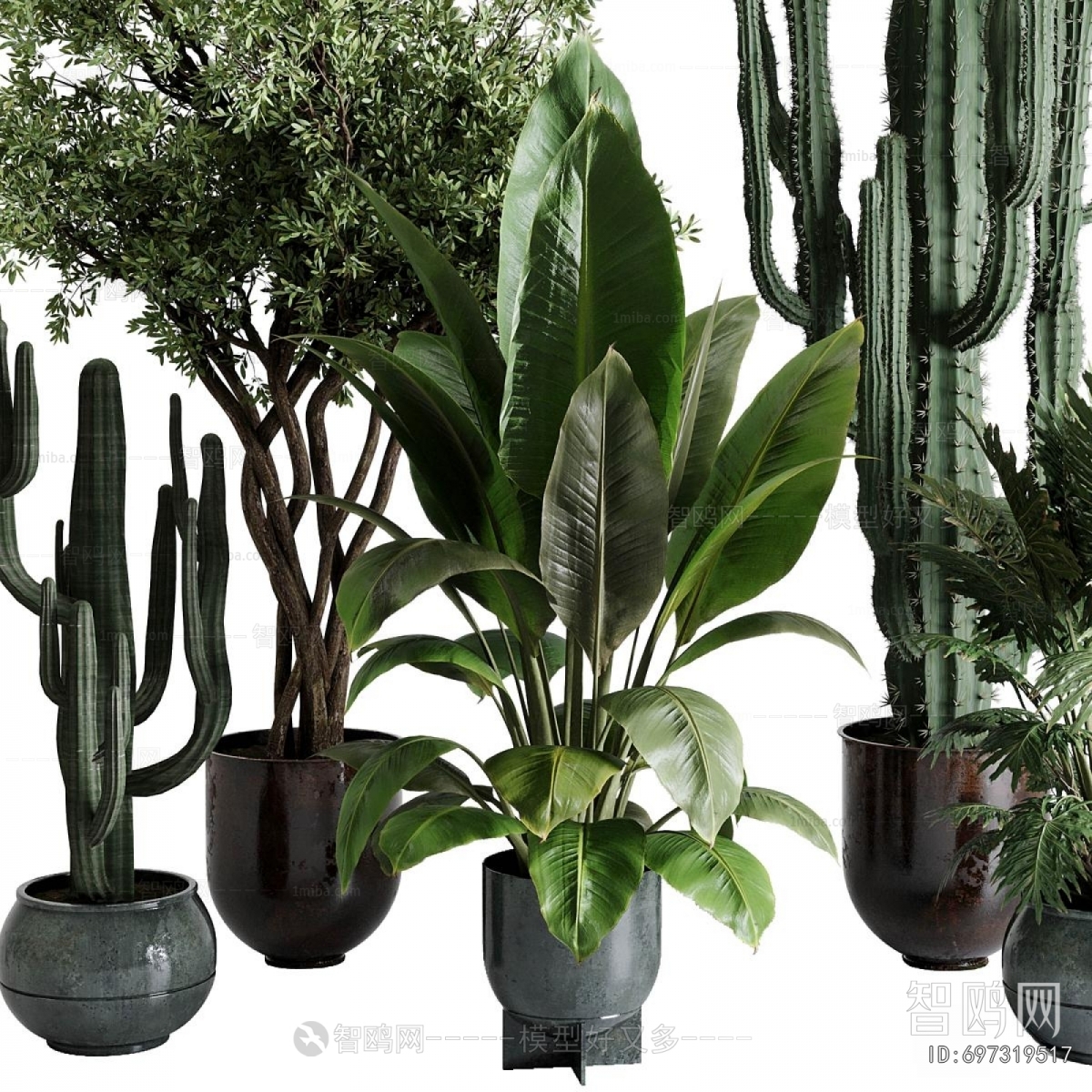 Modern Ground Green Plant Potted Plants