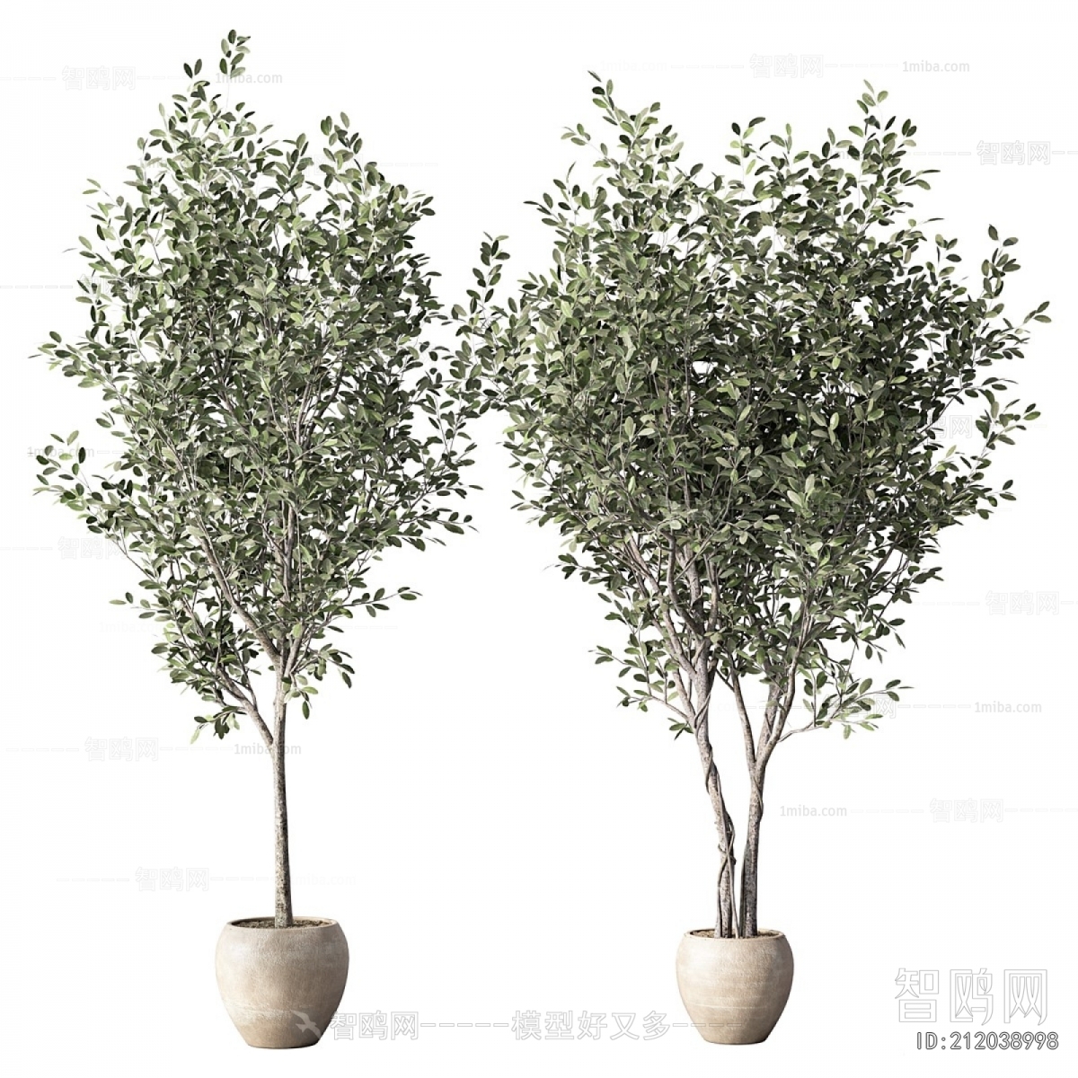 Modern Ground Green Plant Potted Plants