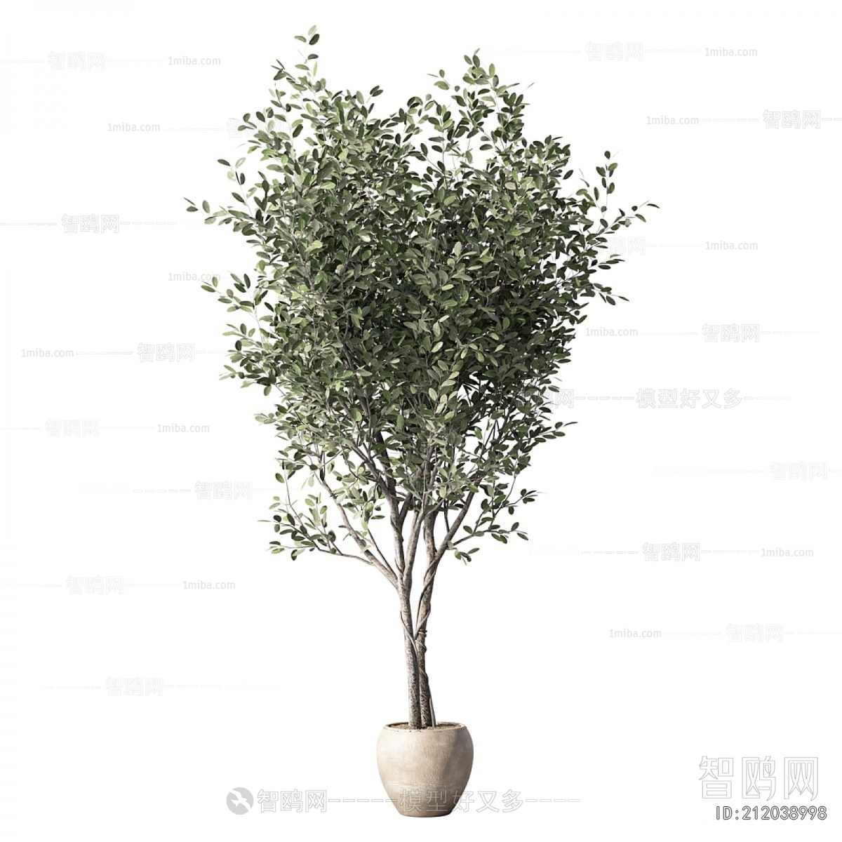 Modern Ground Green Plant Potted Plants
