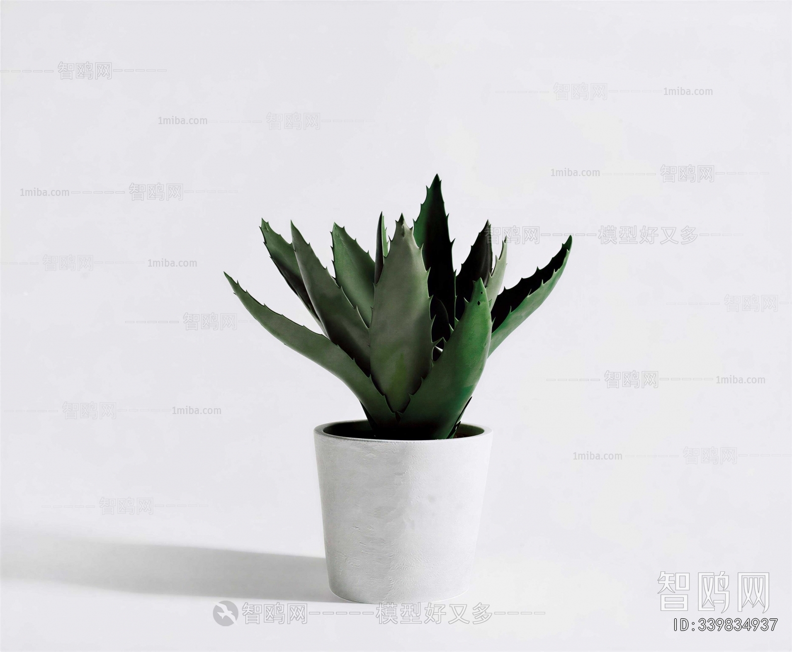 Modern Potted Green Plant