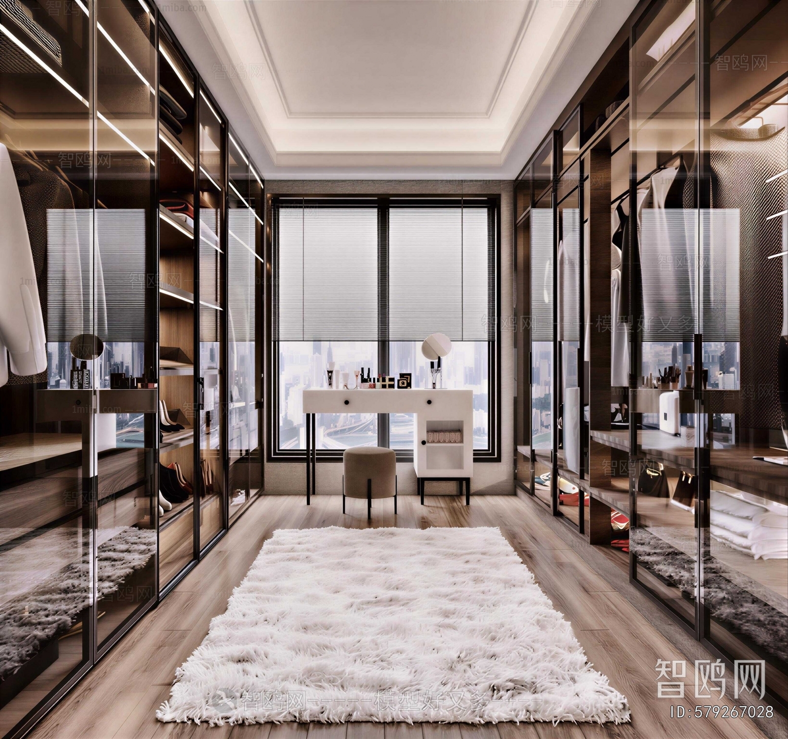 Modern Clothes Storage Area