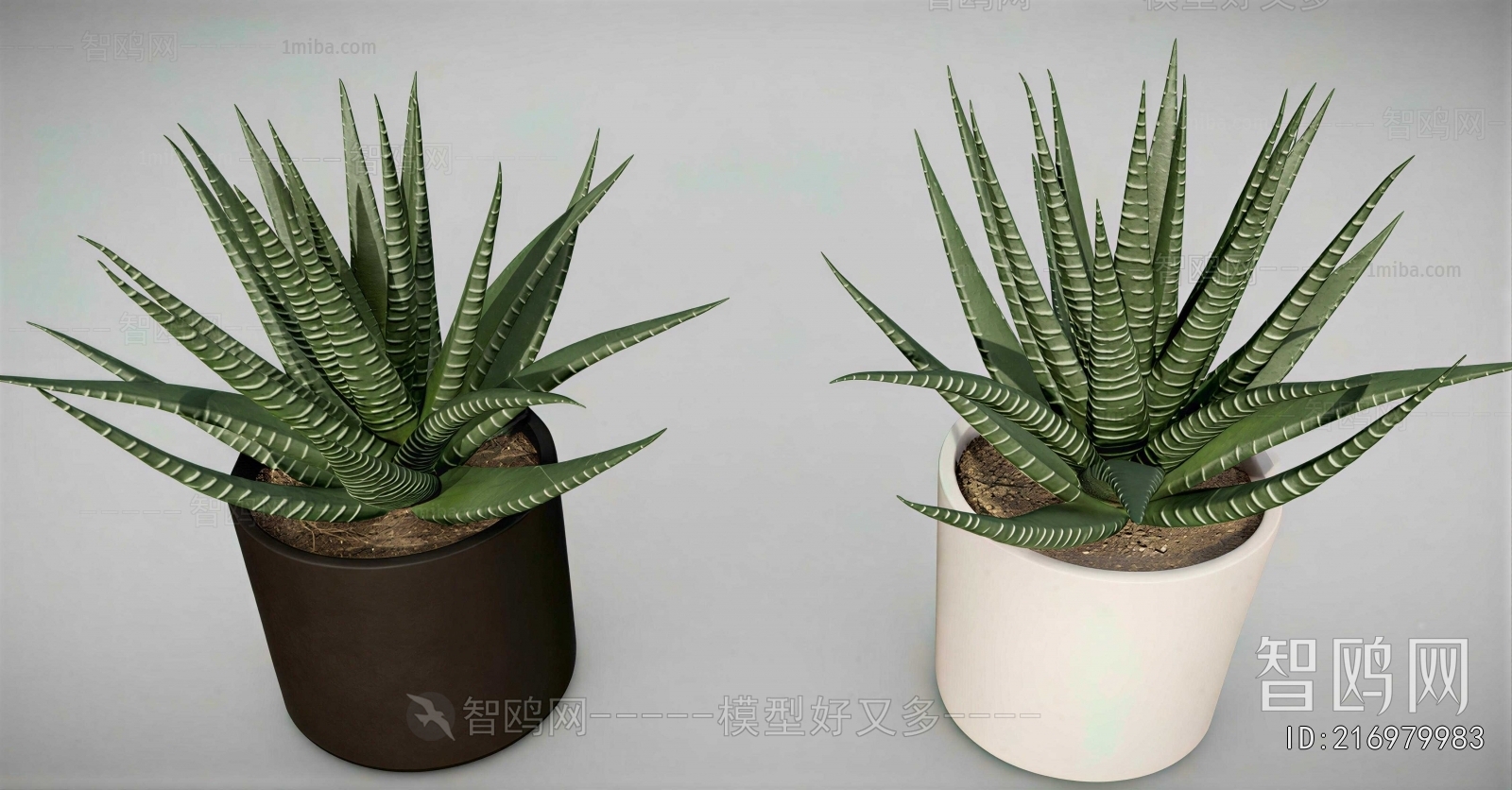 Modern Potted Green Plant