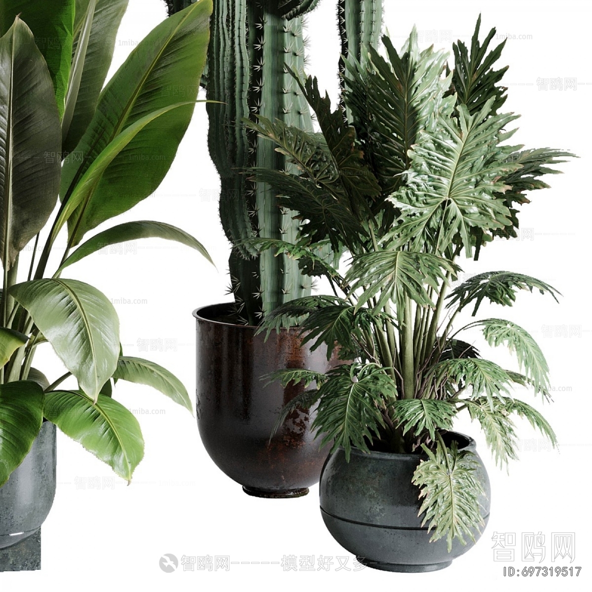 Modern Ground Green Plant Potted Plants