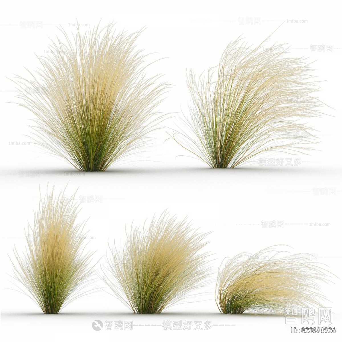 Modern The Grass