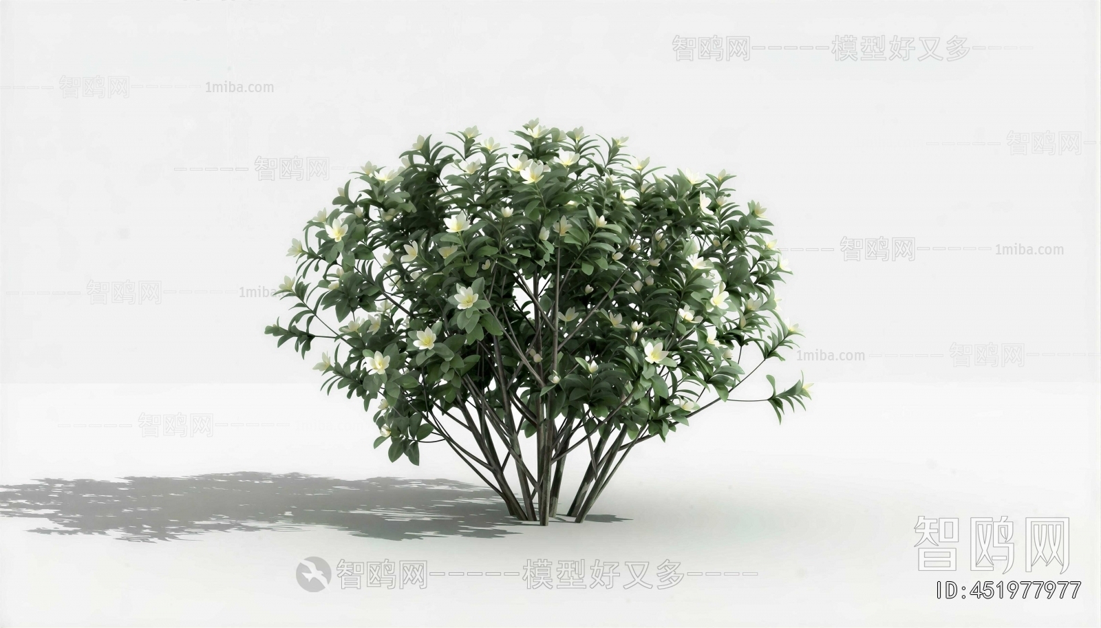 Modern Shrubbery