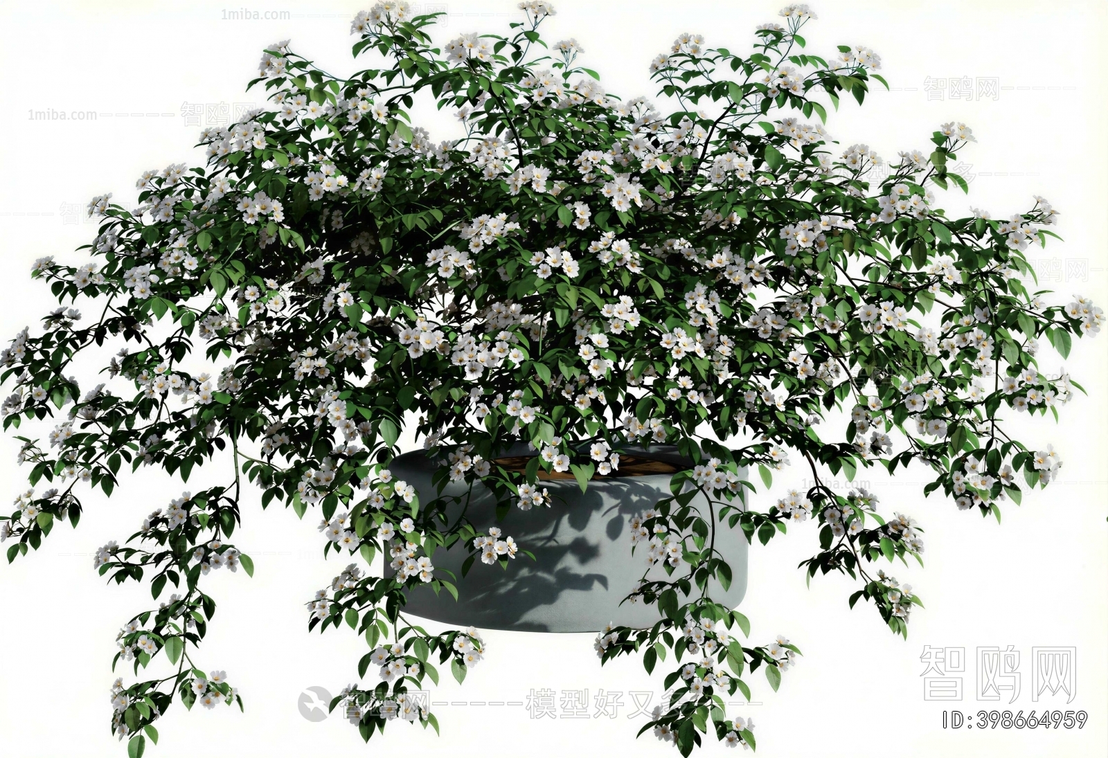 Modern Ground Green Plant Potted Plants