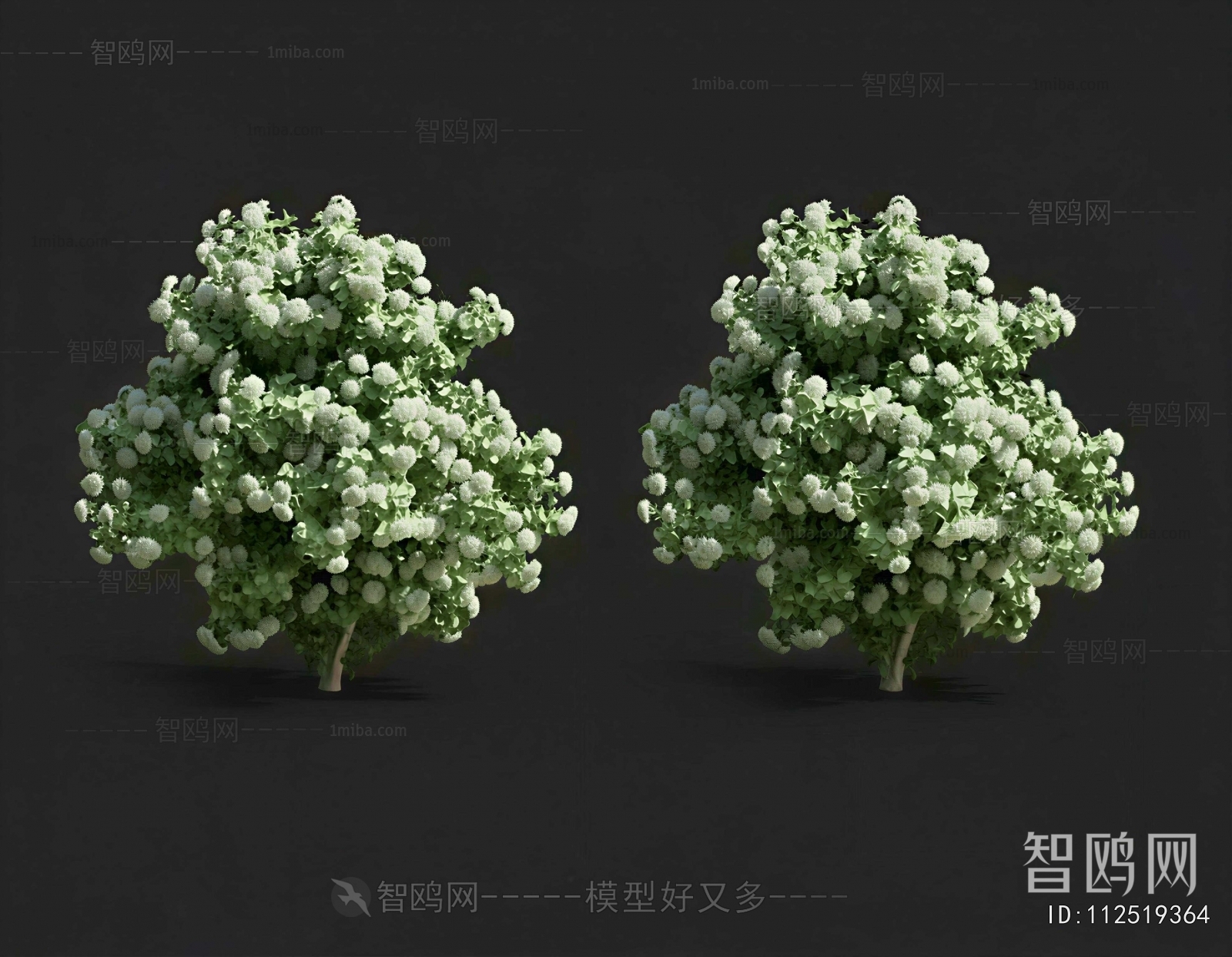 Modern Shrubbery