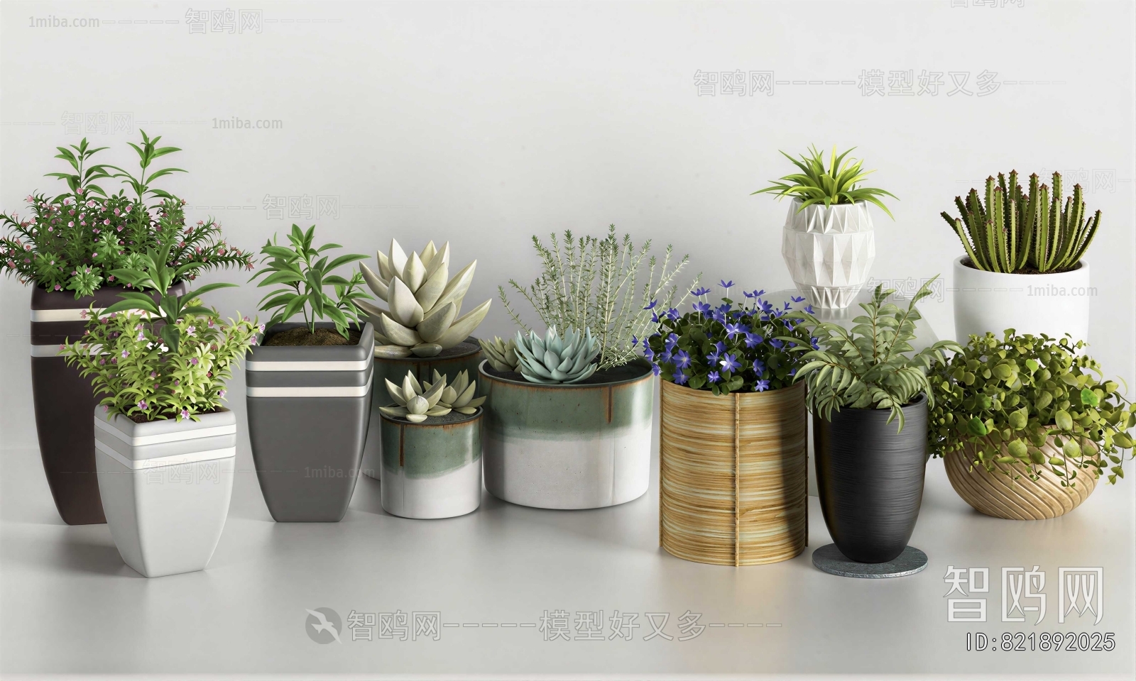 Modern Potted Green Plant