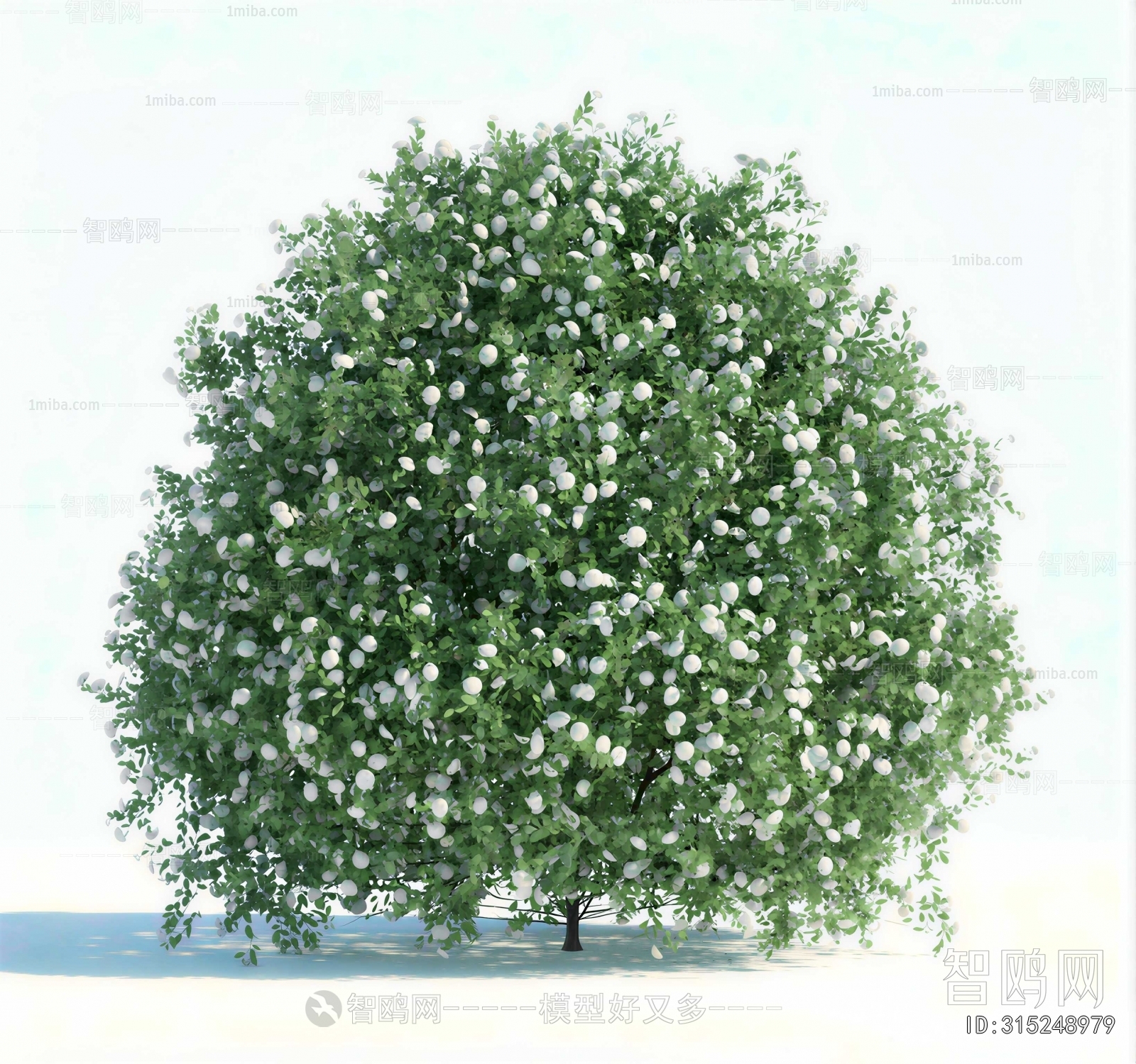 Modern Shrubbery