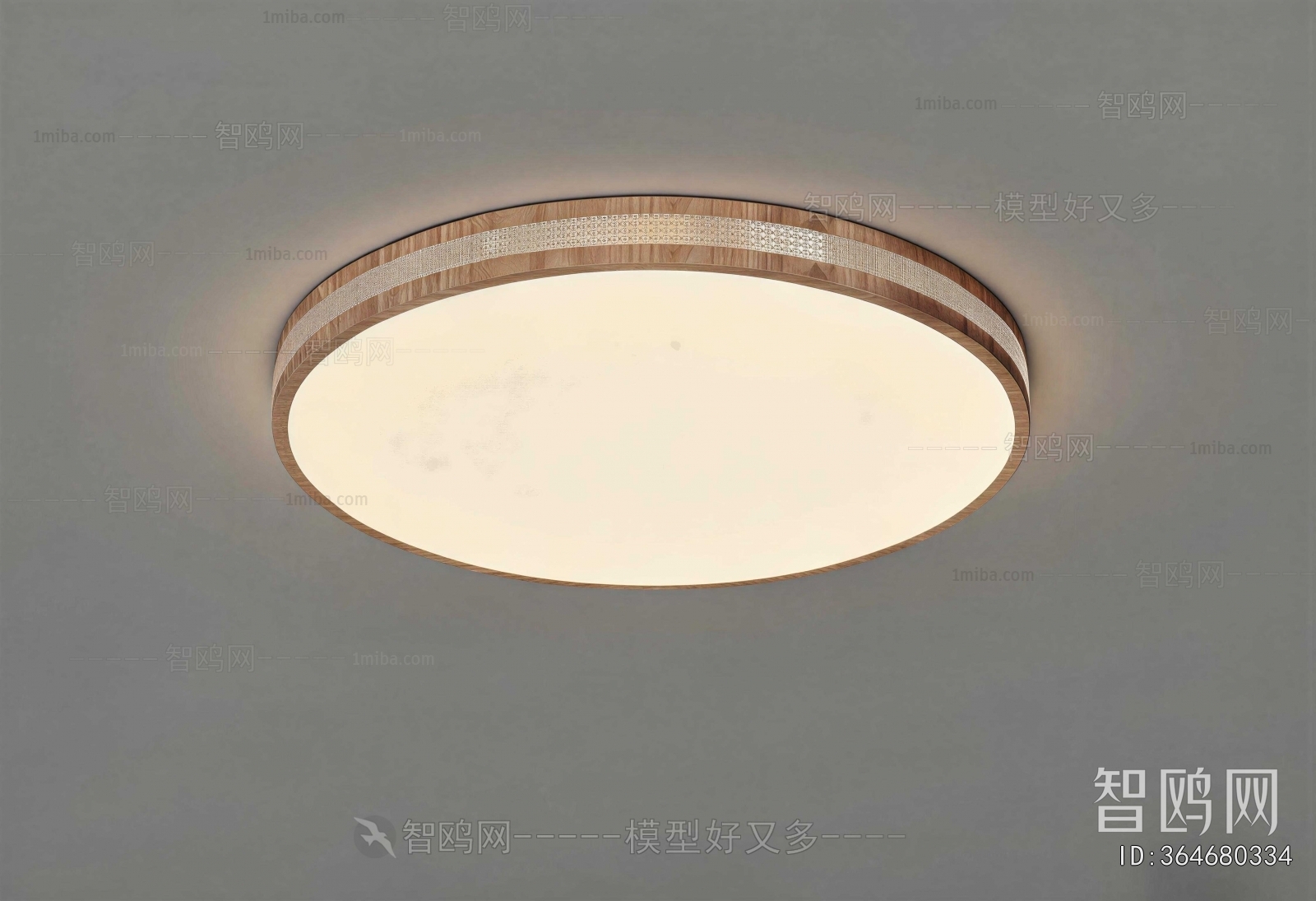 Modern Ceiling Ceiling Lamp