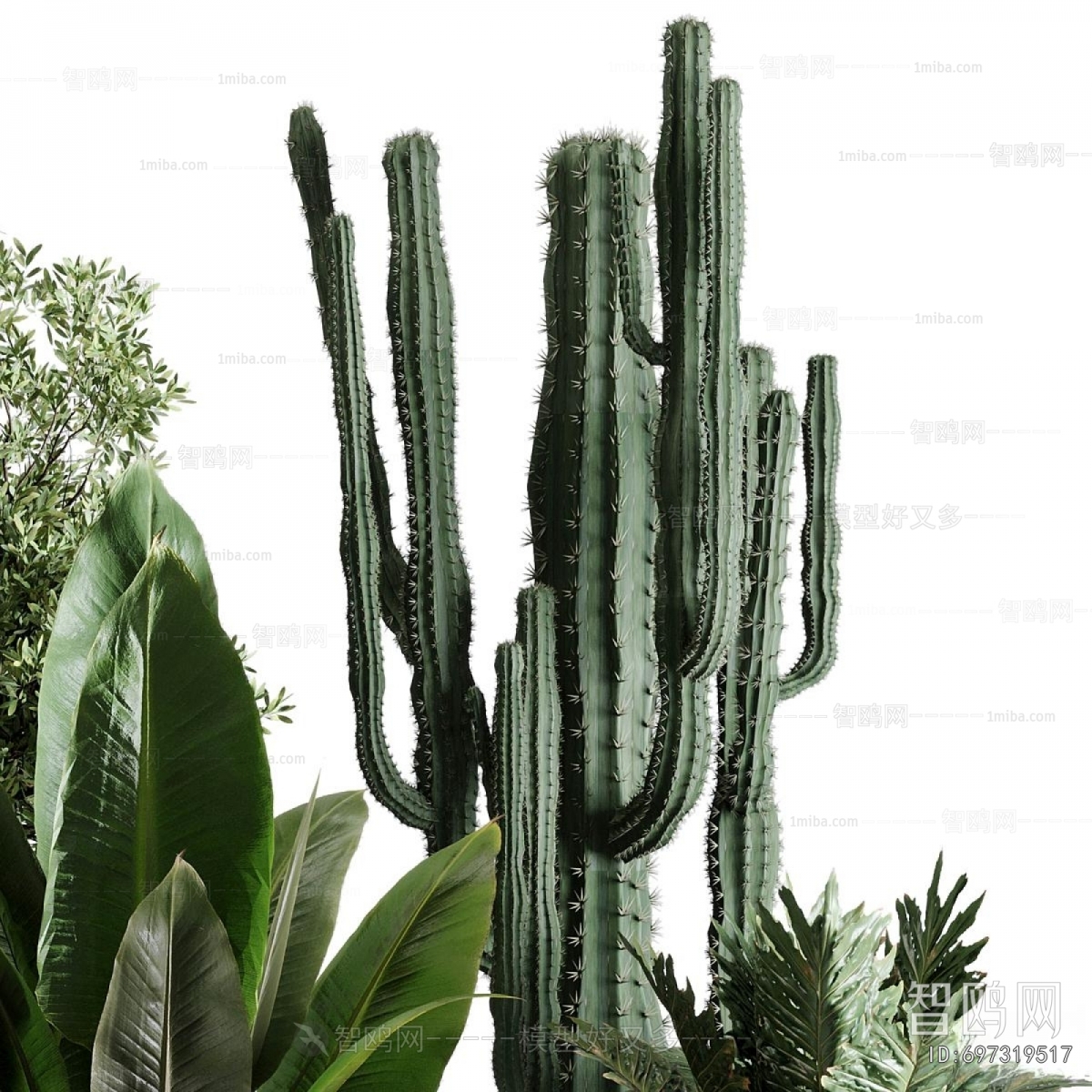 Modern Ground Green Plant Potted Plants
