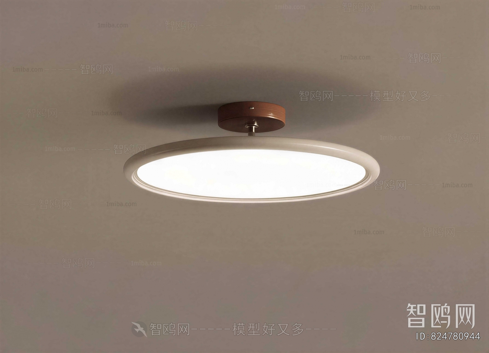 Modern Ceiling Ceiling Lamp