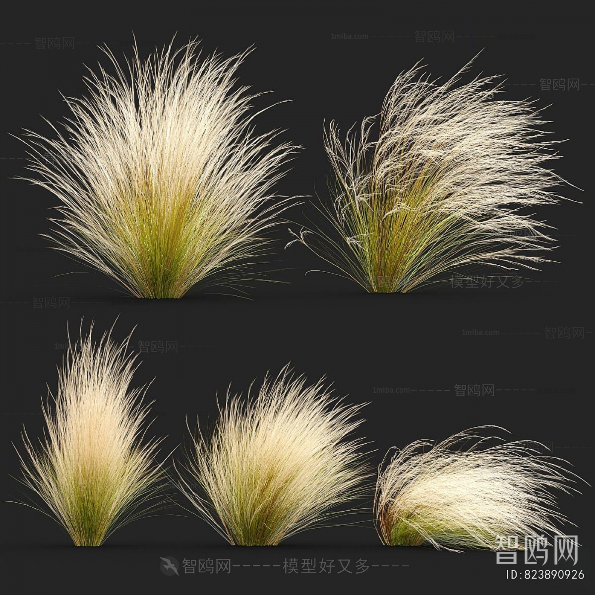 Modern The Grass