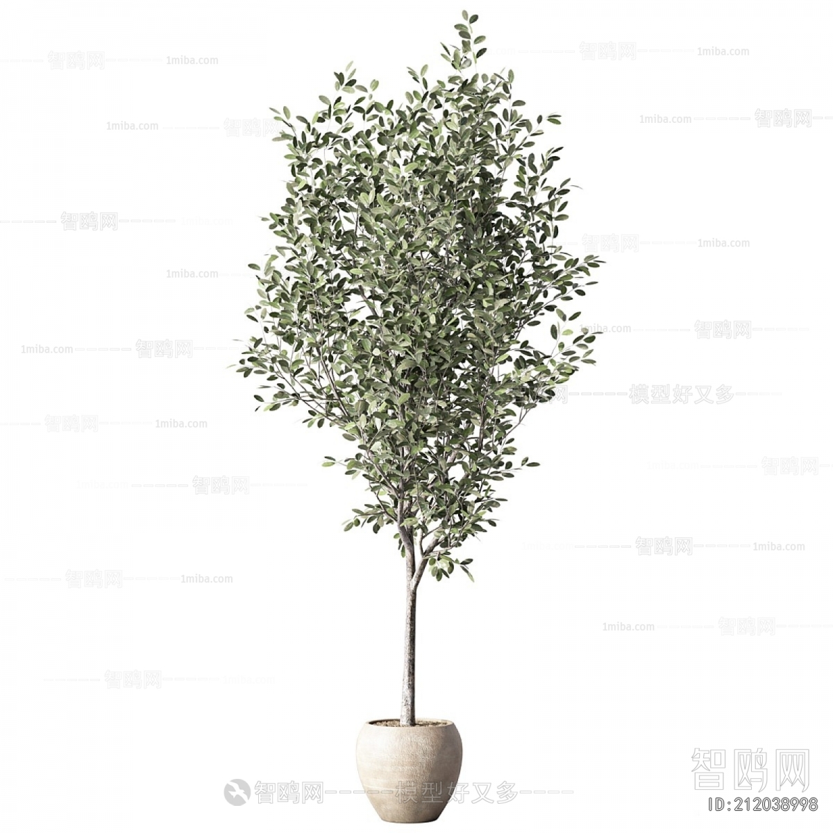 Modern Ground Green Plant Potted Plants