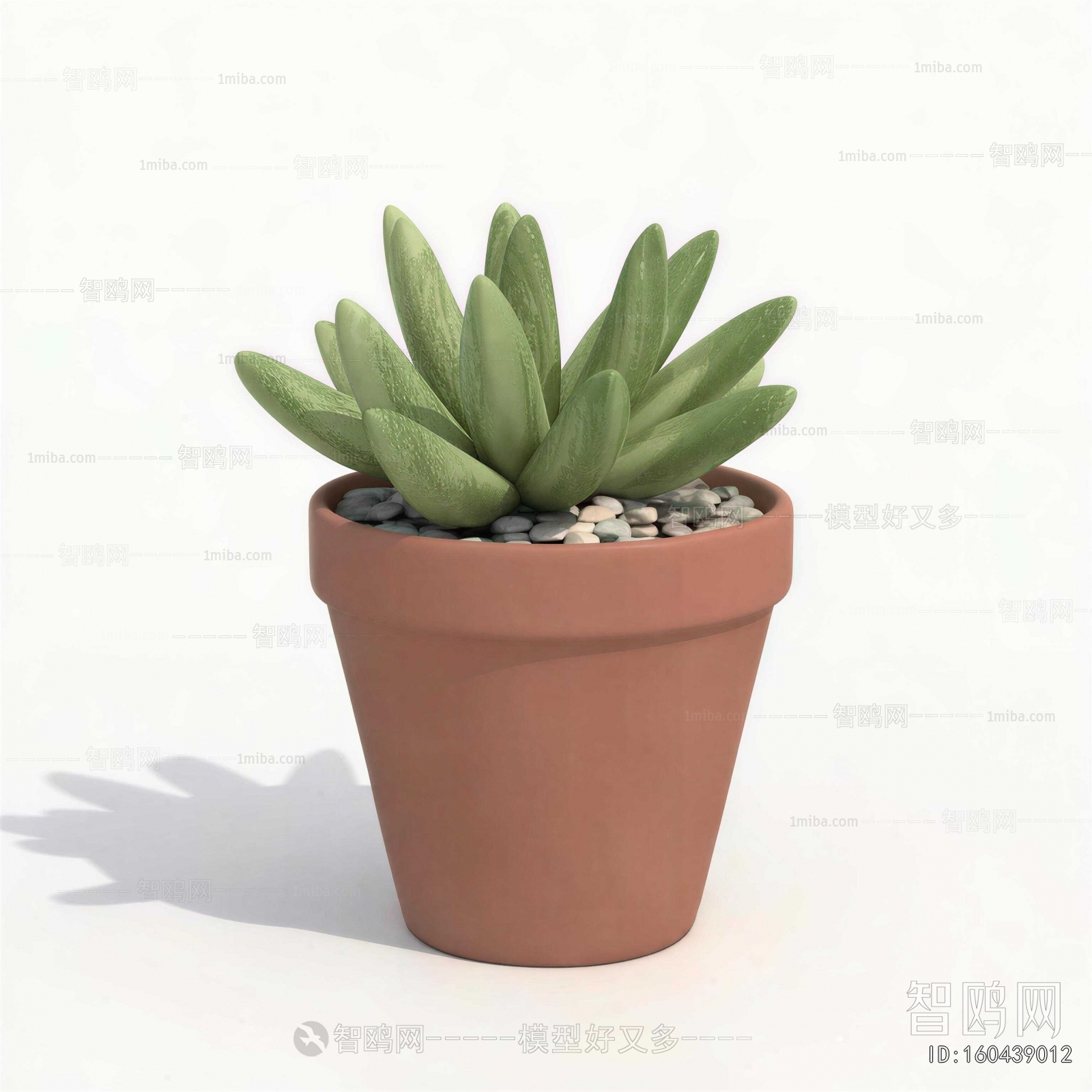 Modern Desktop Plant
