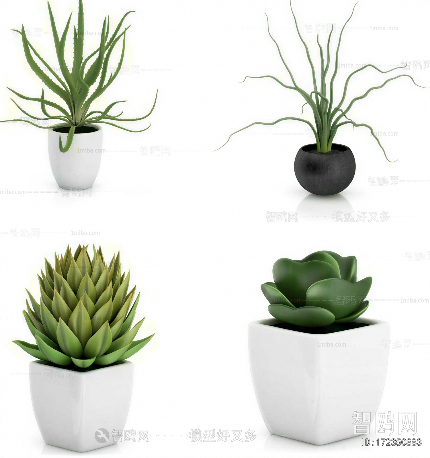 Modern Potted Green Plant