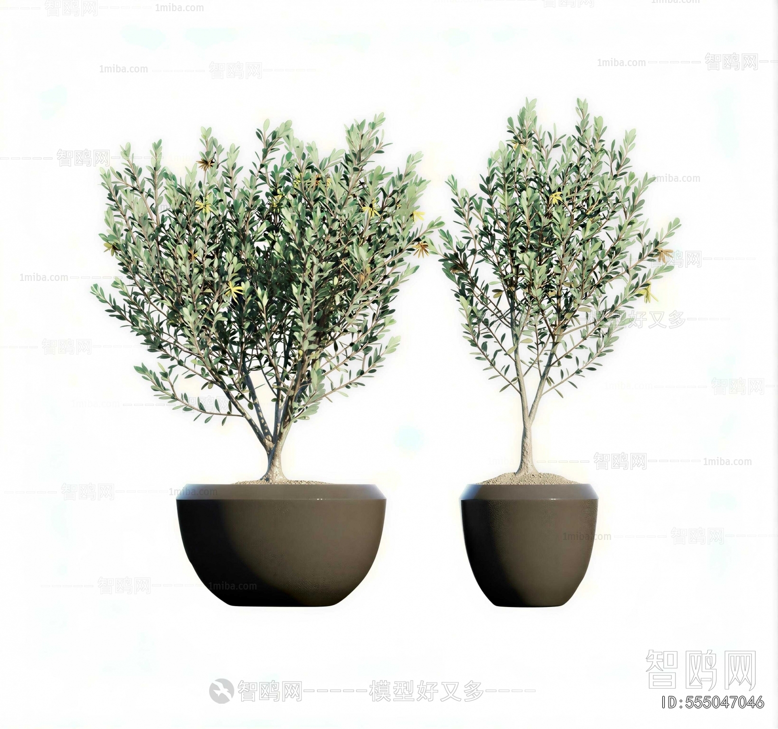 Modern Ground Green Plant Potted Plants