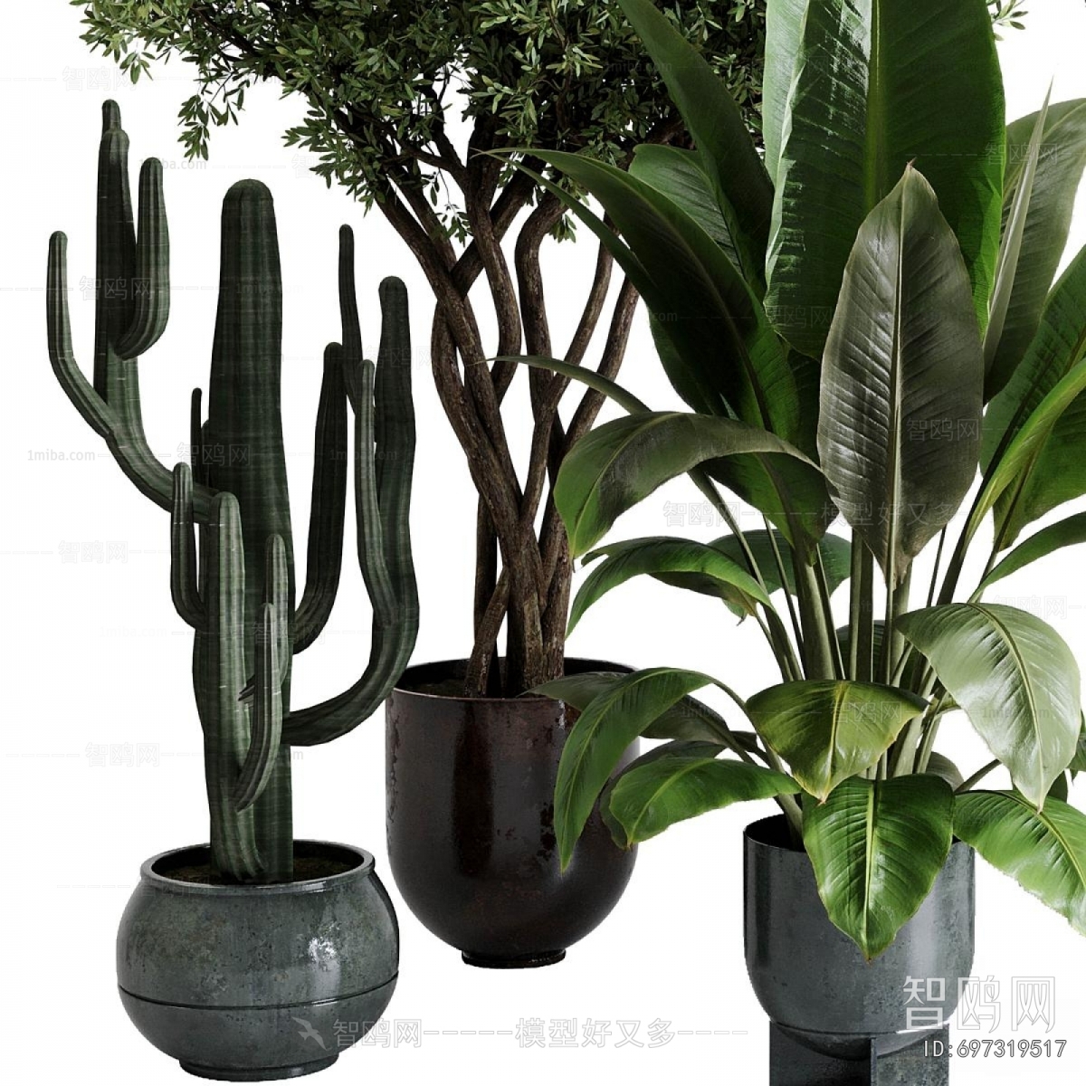Modern Ground Green Plant Potted Plants