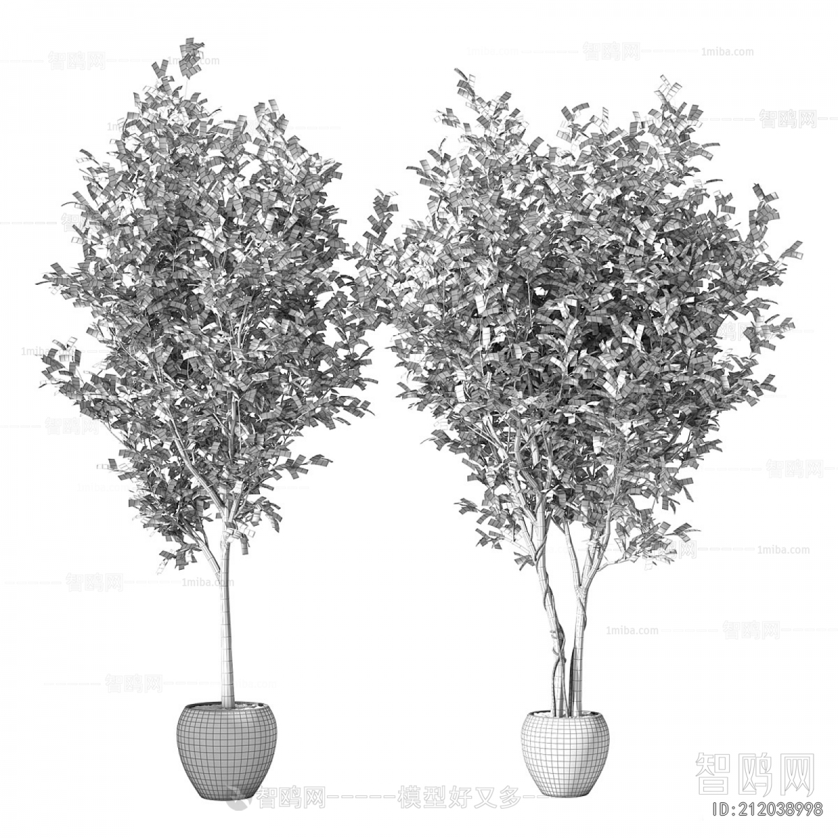 Modern Ground Green Plant Potted Plants