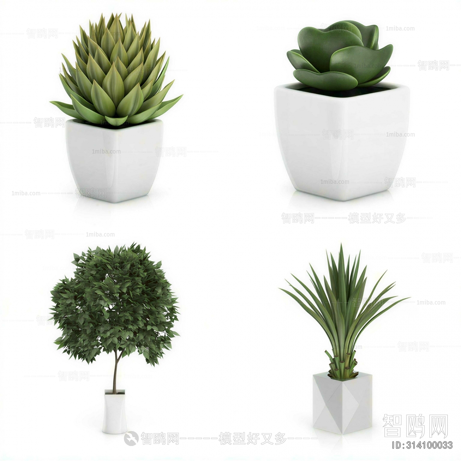 Modern Potted Green Plant