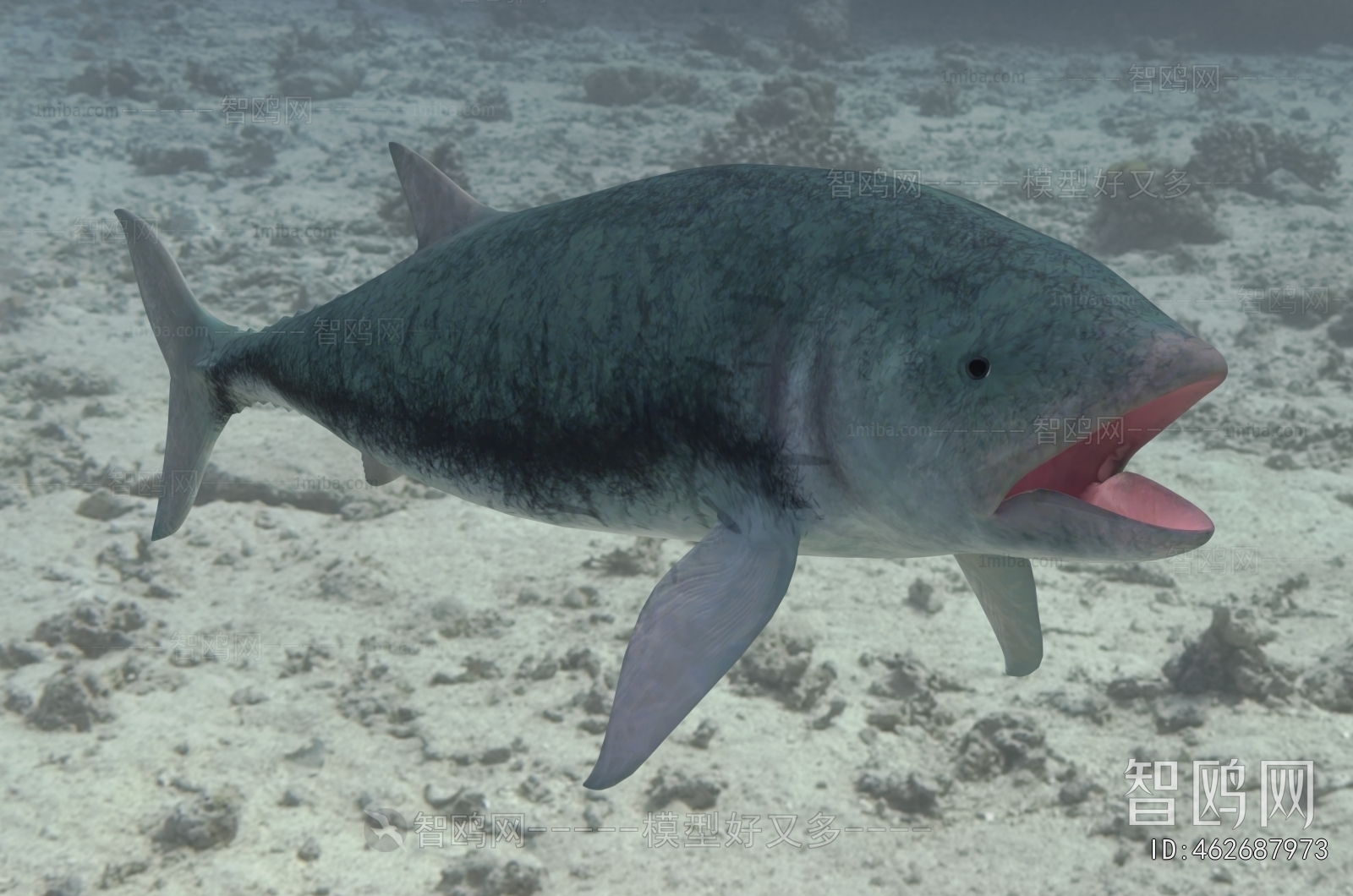 Modern Aquatic Animals