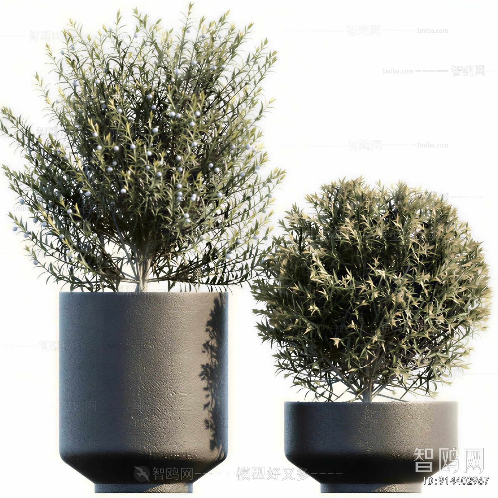 Modern Ground Green Plant Potted Plants