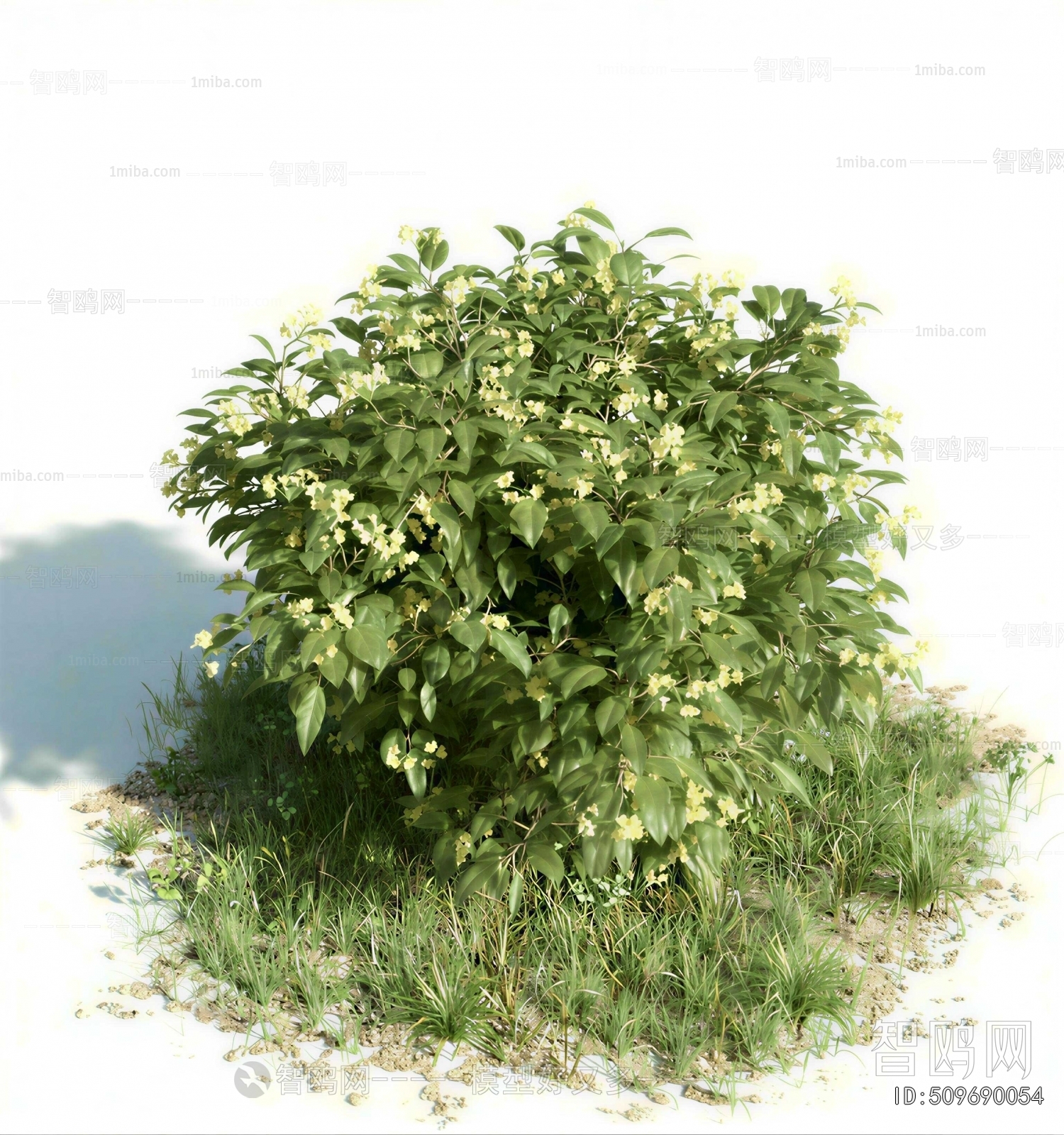 Modern Shrubbery