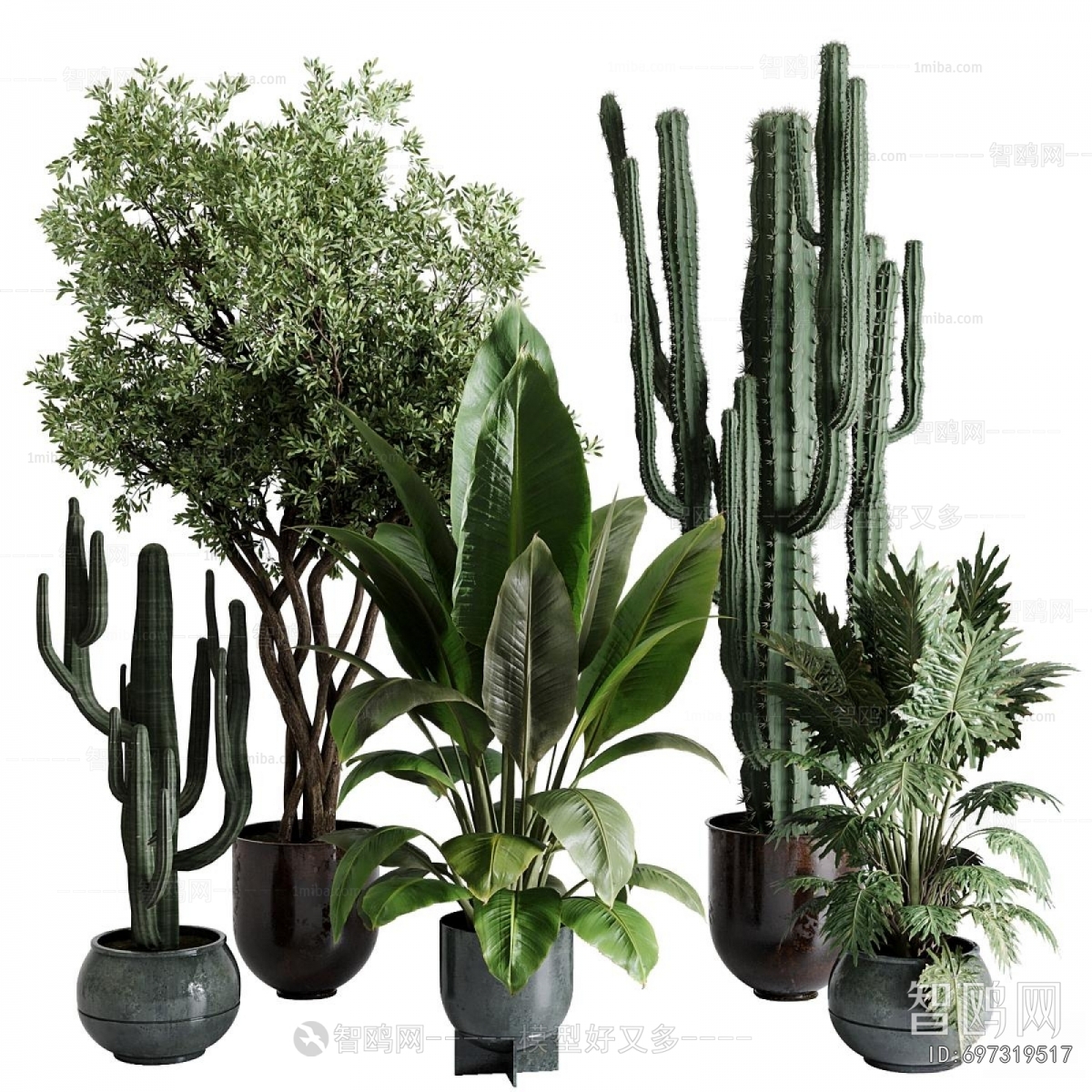 Modern Ground Green Plant Potted Plants