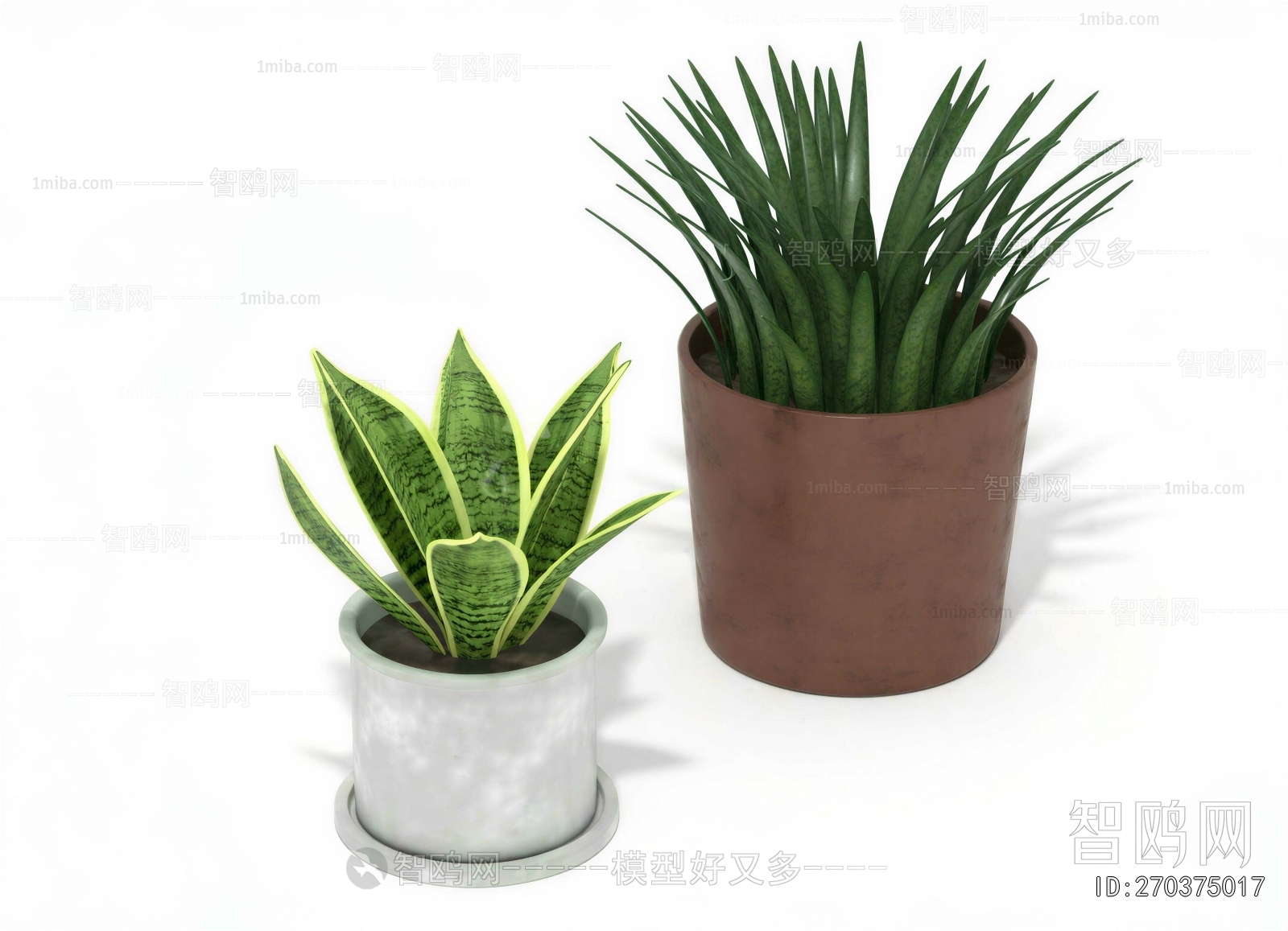 Modern Potted Green Plant