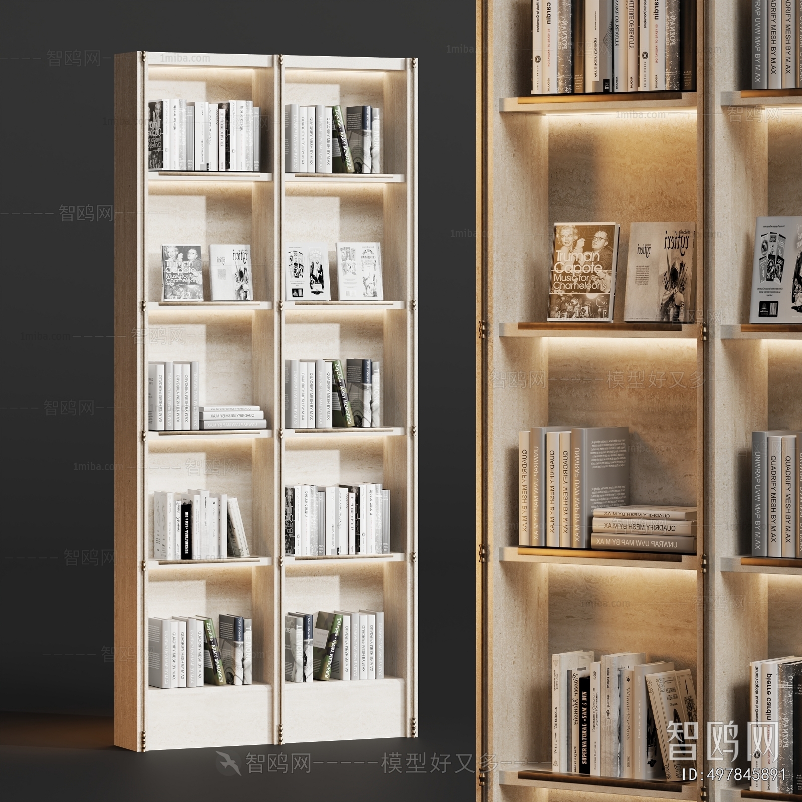 Modern Bookcase