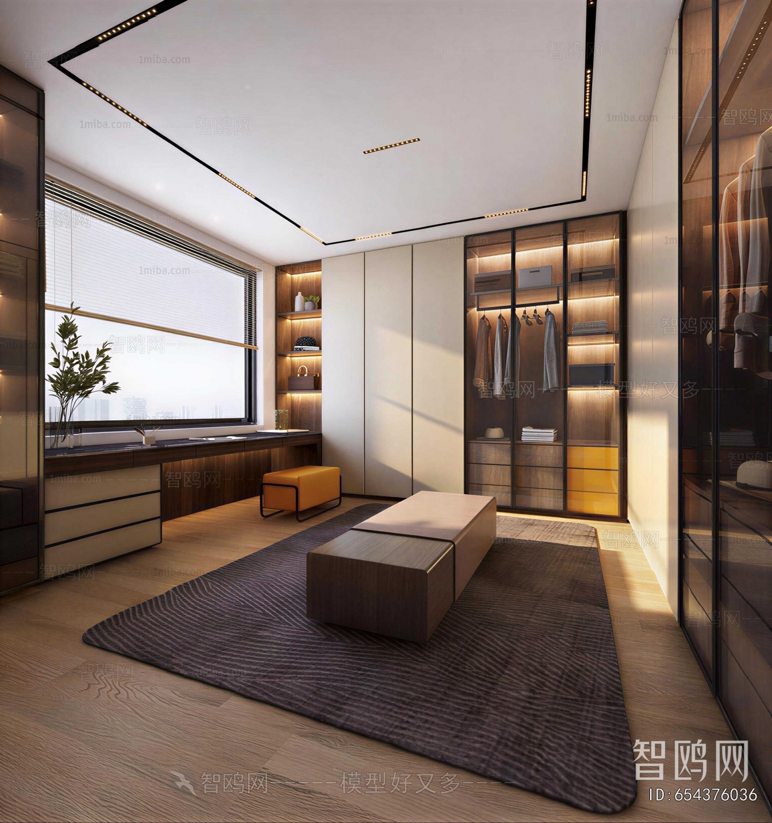 Modern Clothes Storage Area