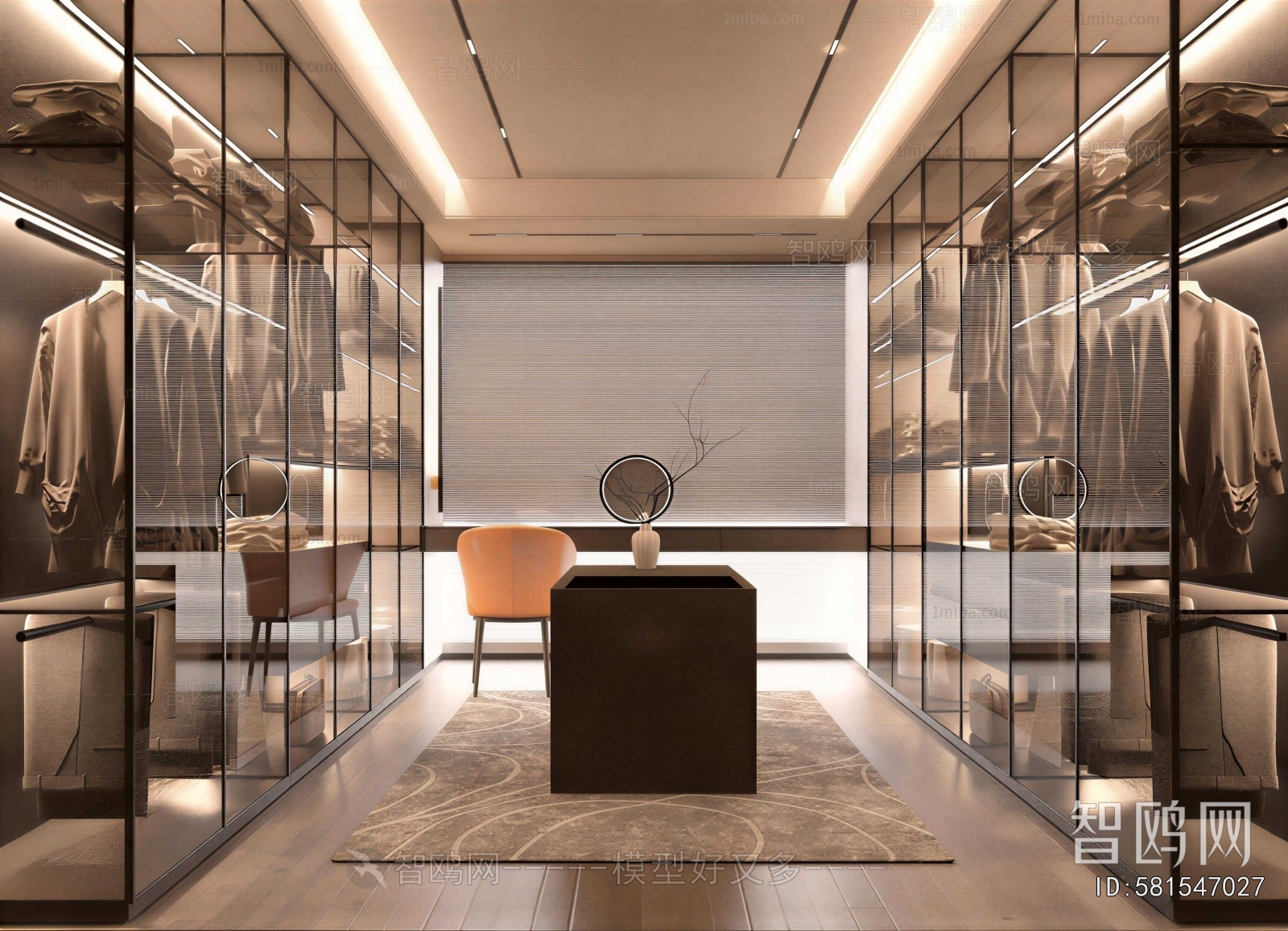 Modern Clothes Storage Area