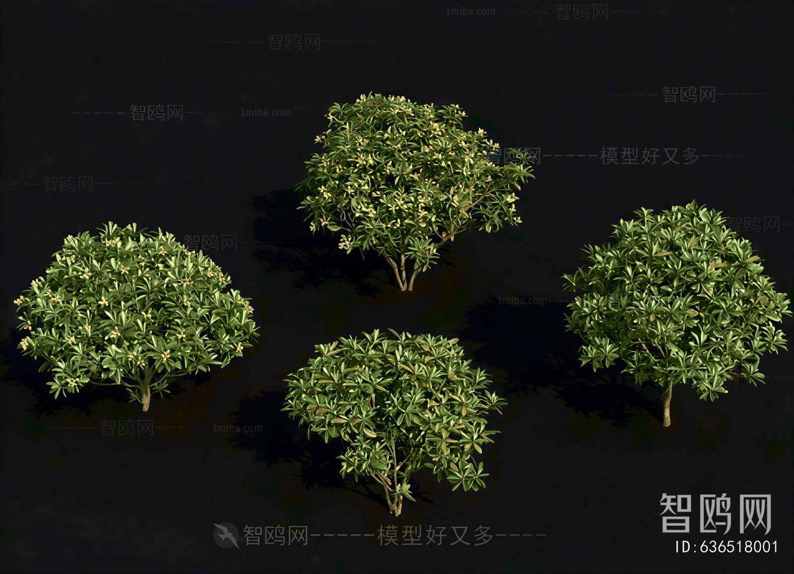 Modern Shrubbery