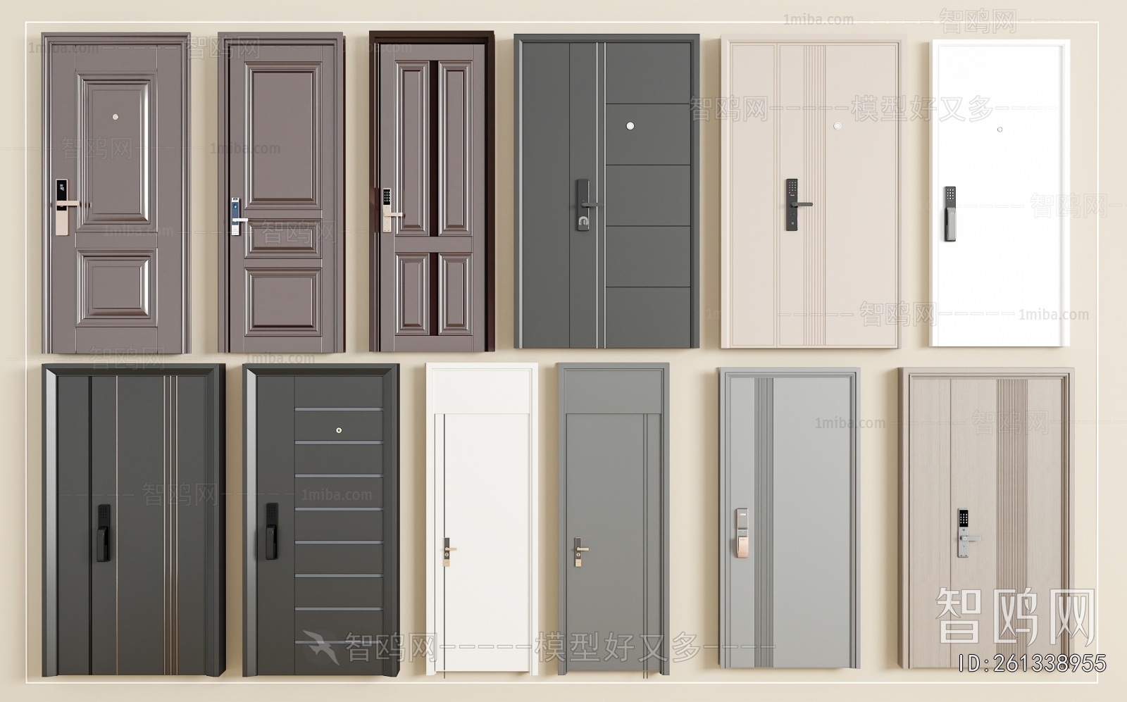 Modern Entrance Door