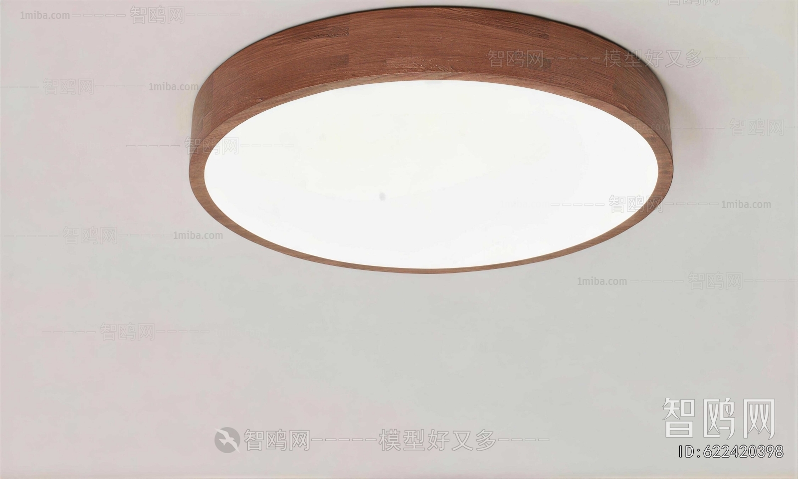 Modern Ceiling Ceiling Lamp